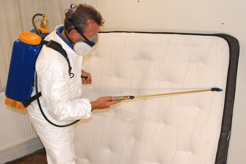 Bed Bug Control Service